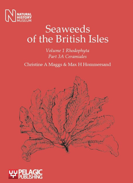 Seaweeds of the British Isles, Volume 1 Rhodophyta, Part 3A