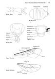 Solitary bees - Pelagic Publishing