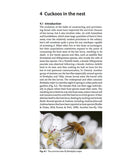 Solitary bees - Pelagic Publishing
