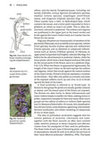 Solitary bees - Pelagic Publishing