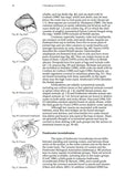 Studying Invertebrates - Pelagic Publishing