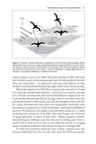 The Ascent of Birds - Pelagic Publishing