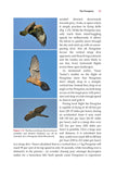 Urban Peregrines - Pelagic Publishing