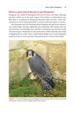 Urban Peregrines - Pelagic Publishing