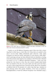 Urban Peregrines - Pelagic Publishing