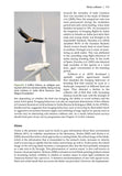 Wildlife and Wind Farms - Conflicts and Solutions, Volume 1 - Pelagic Publishing