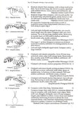 Animals of sandy shores - Pelagic Publishing