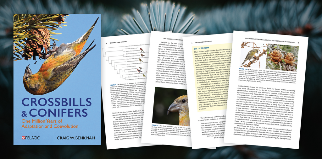 Crossbills & Conifers - Author Interview