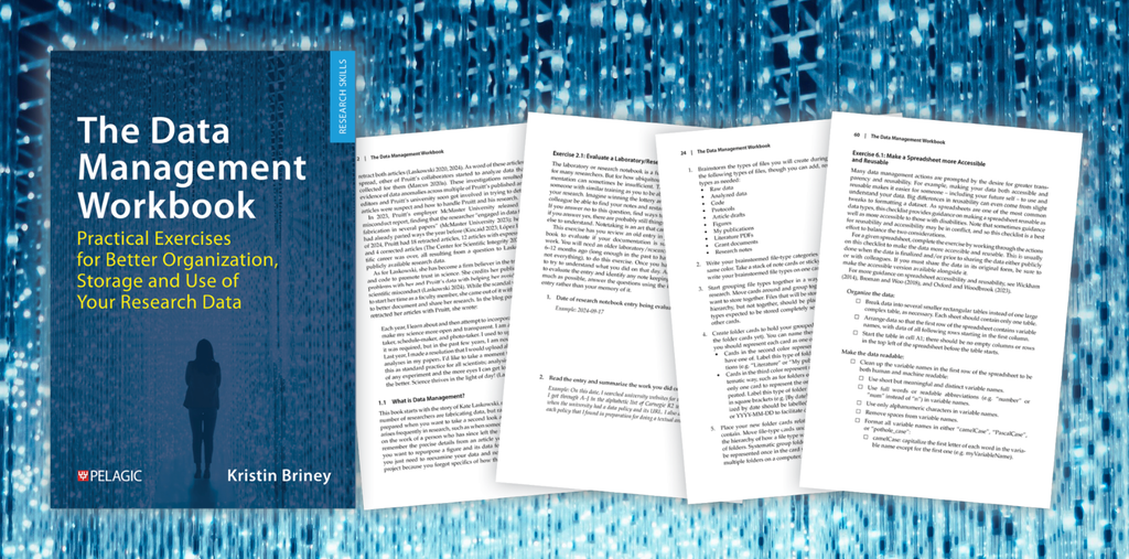 The Data Management Workbook - Author Interview