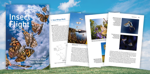 Insect Flight - Author Interview