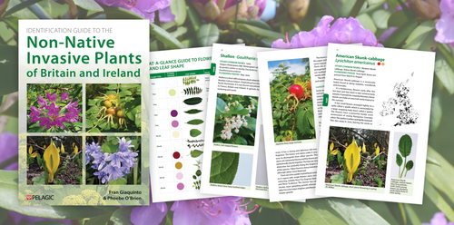 Identification Guide to the Non-Native Invasive Plants of Britain and Ireland - Author Interview