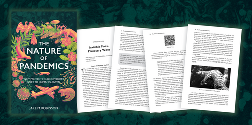 The Nature of Pandemics - Sample Chapter