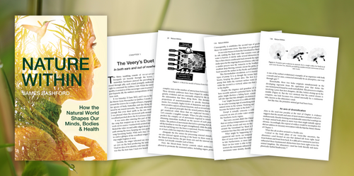 Nature Within - Sample Chapter