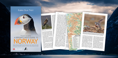 A Birdwatcher's Guide to Norway - Author Interview