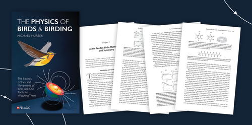 The Physics of Birds & Birding - Sample Chapter
