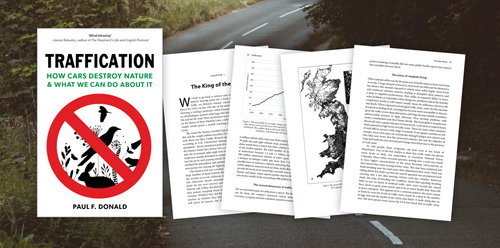 Traffication - Author Interview