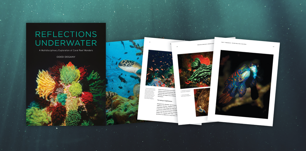 Reflections Underwater - Author Interview