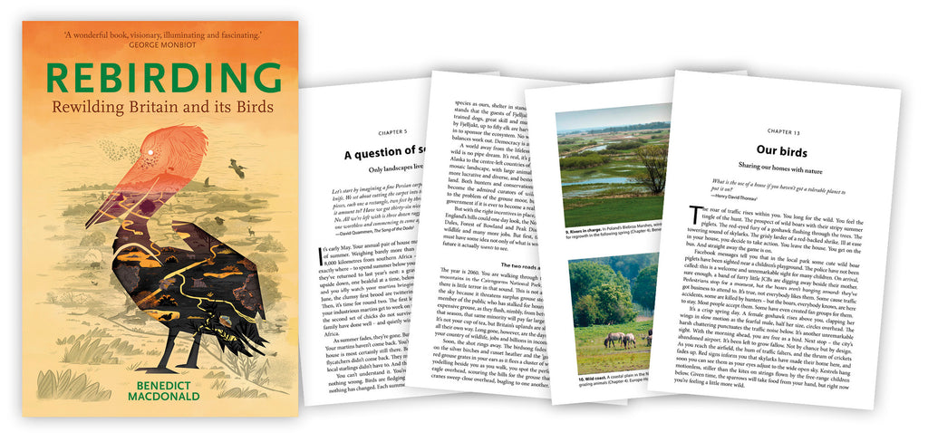 Just published: Rebirding - Rewilding Britain and its Birds by Benedict Macdonald 