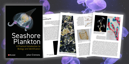 Seashore Plankton - Author Interview
