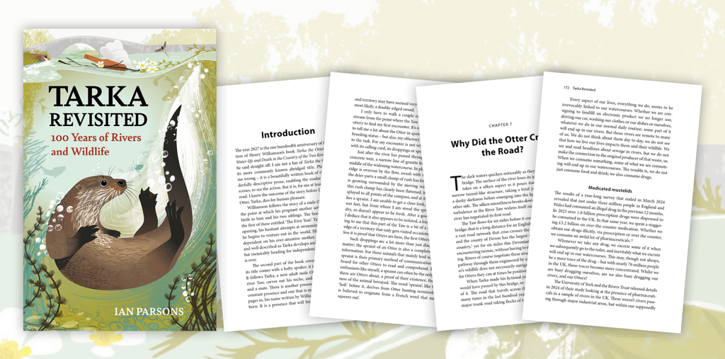Tarka Revisited - Sample Chapter