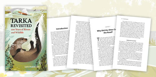 Tarka Revisited - Sample Chapter