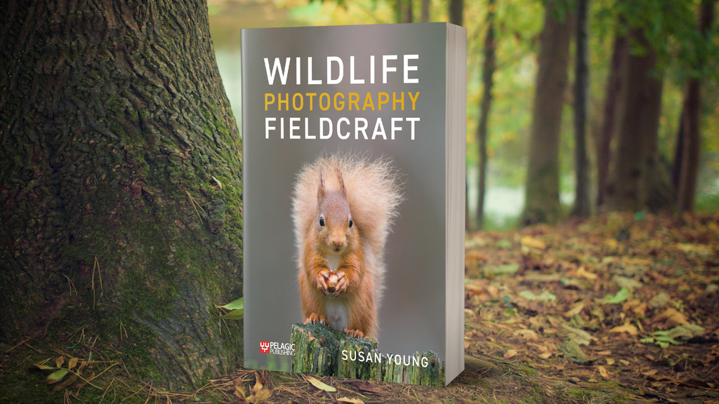Wildlife Photography Fieldcraft - Author Interview