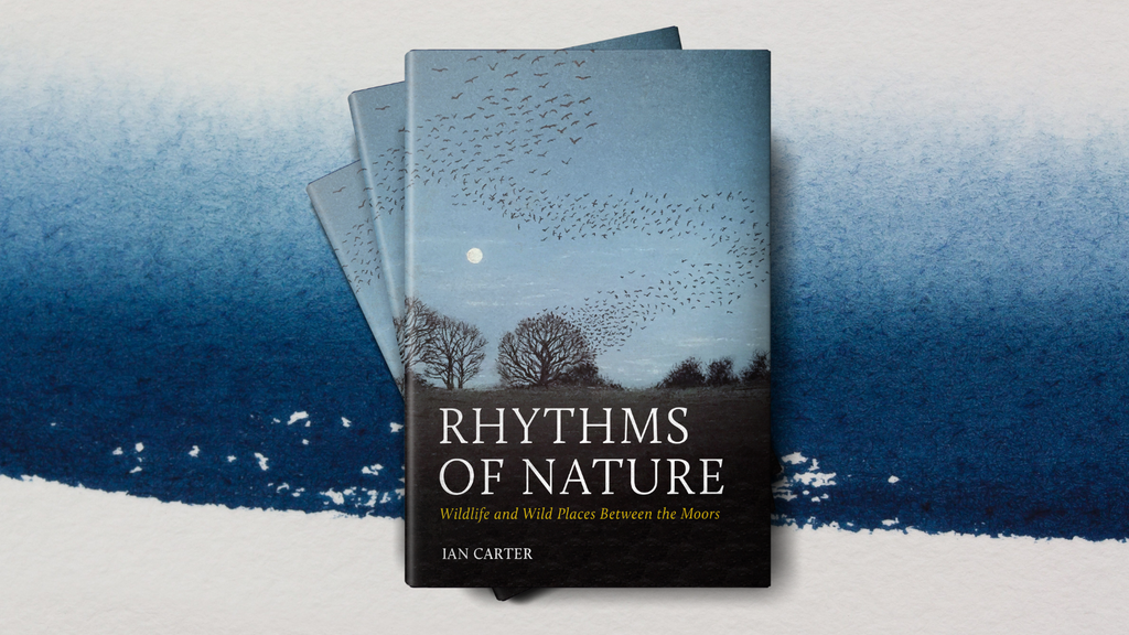Rhythms of Nature: Author Interview