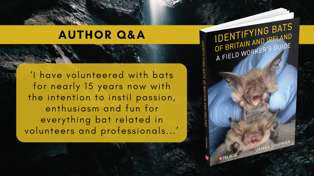 Identifying Bats of Britain and Ireland - Author Interview