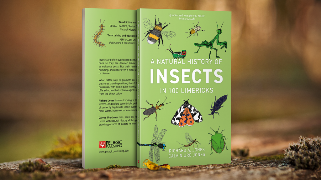 In Conversation with Richard A. Jones, author of A Natural History of Insects in 100 Limericks