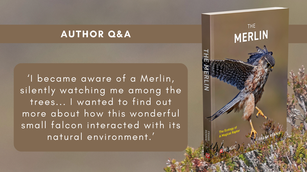 The Merlin - Author Interview