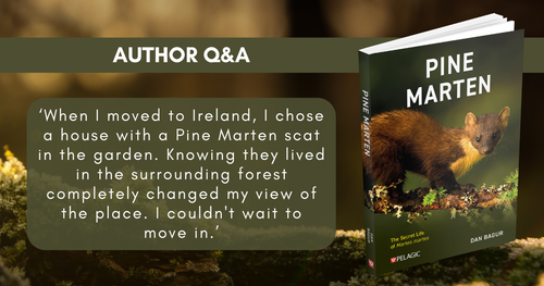 Pine Marten - Author Interview