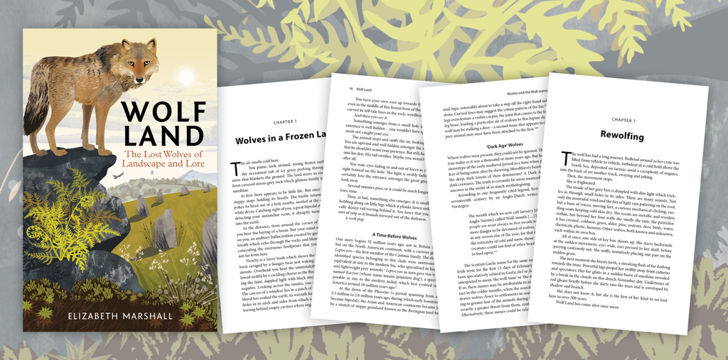 Wolf Land - Sample Chapter
