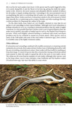 Snakes of Peninsular Thailand - Pelagic Publishing