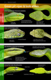 Snakes of Peninsular Thailand - Pelagic Publishing