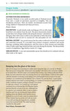 Snakes of Peninsular Thailand - Pelagic Publishing