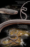 Snakes of Peninsular Thailand - Pelagic Publishing