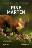 Pine Marten - Pelagic Publishing
