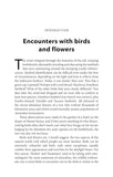 Birds and Flowers - Pelagic Publishing