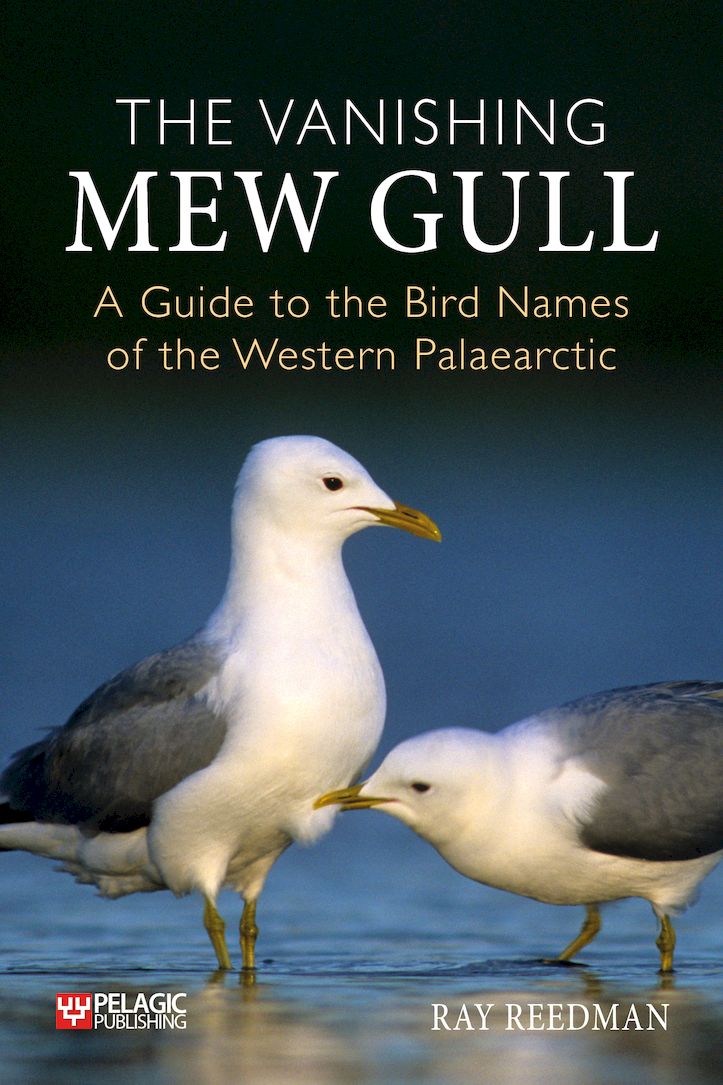 The Vanishing Mew Gull - Pelagic Publishing