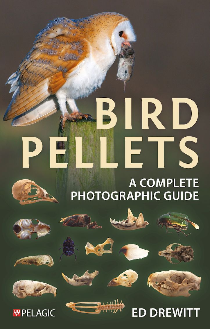 Bird Pellets - Pelagic Publishing