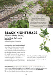 A Field Guide to Urban Plants