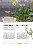 A Field Guide to Urban Plants