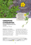 A Field Guide to Urban Plants