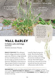 A Field Guide to Urban Plants