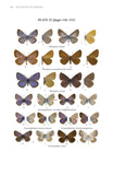 A Field Guide to the Butterflies of Romania