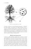 Treewilding - Pelagic Publishing