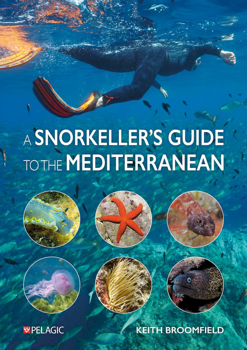 A Snorkeller’s Guide to the Mediterranean - Pelagic Publishing