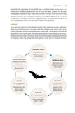 Identifying Bats of Britain and Ireland