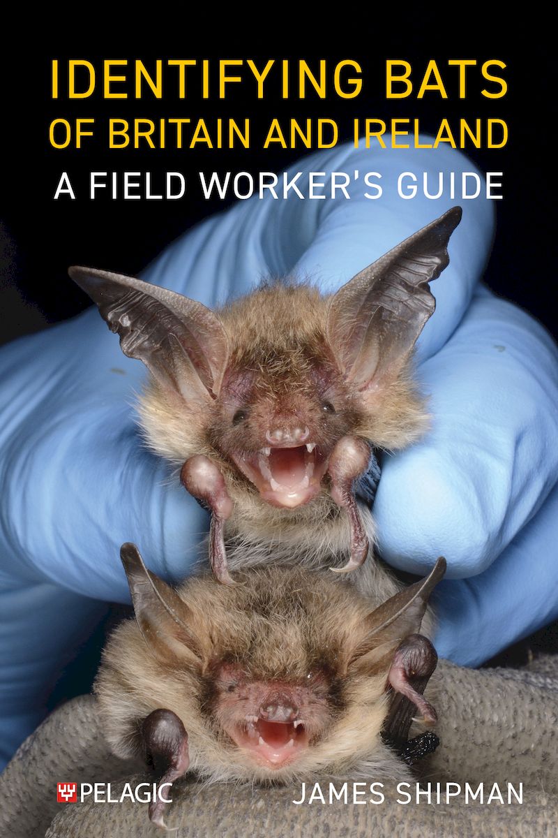 Identifying Bats of Britain and Ireland - Pelagic Publishing