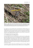 The Otter Field Survey and Monitoring Handbook